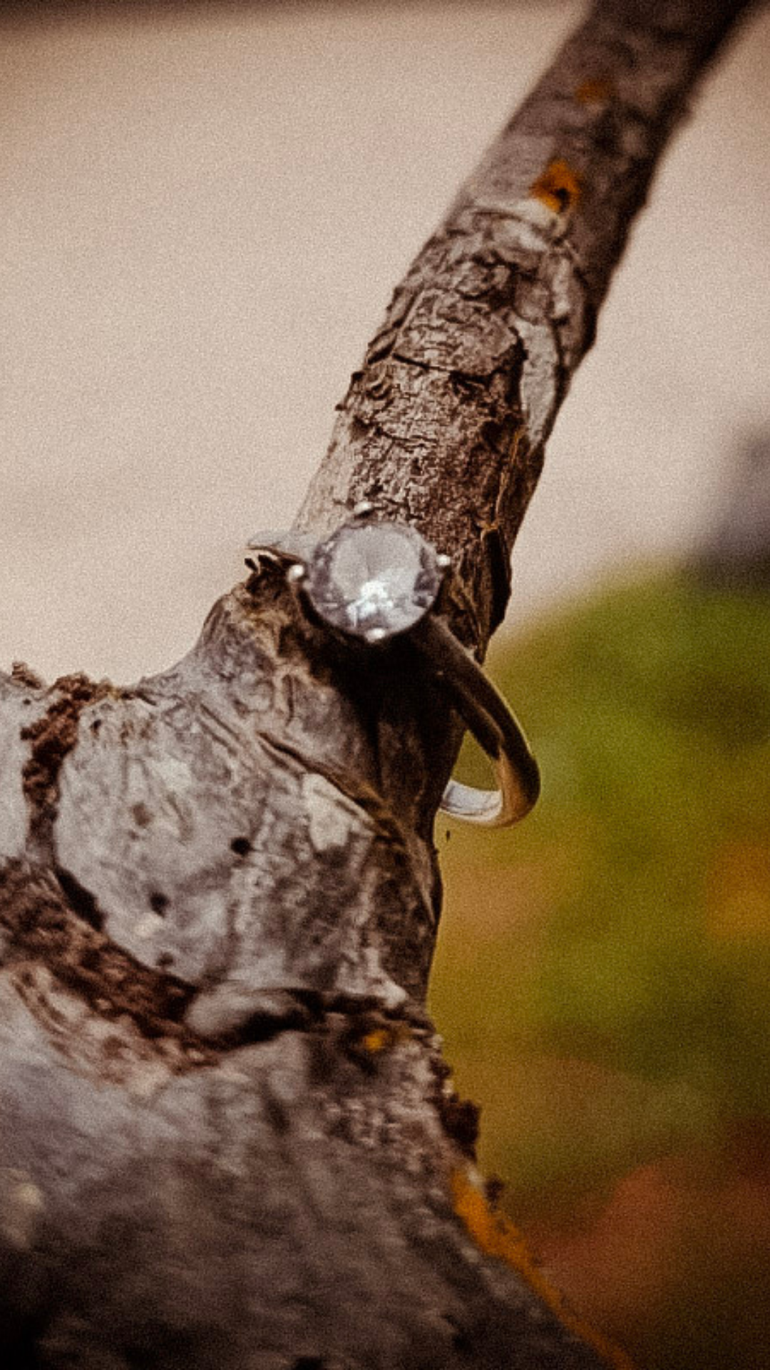 JENNY Y EMILIO (3) (1)